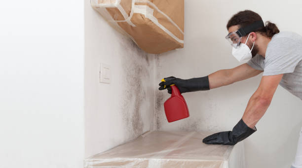 Professional Bathroom Mold Removal technician working in Hebron, KY