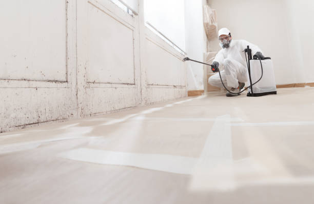 24/7 Emergency Bathroom Mold Removal experts in Hebron, KY