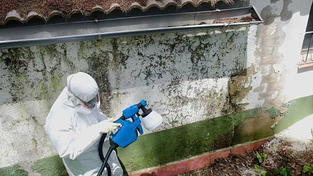 Top rated local Bathroom Mold Removal specialists in Hebron, KY